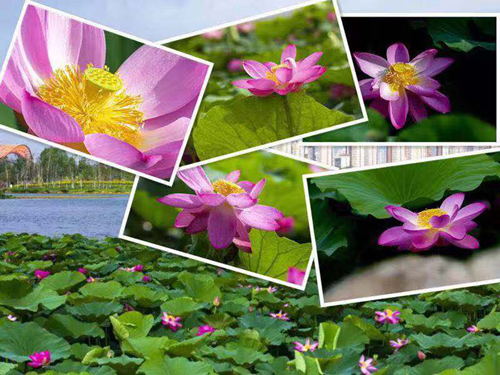 FUN88·乐天堂(中国游)官方网站