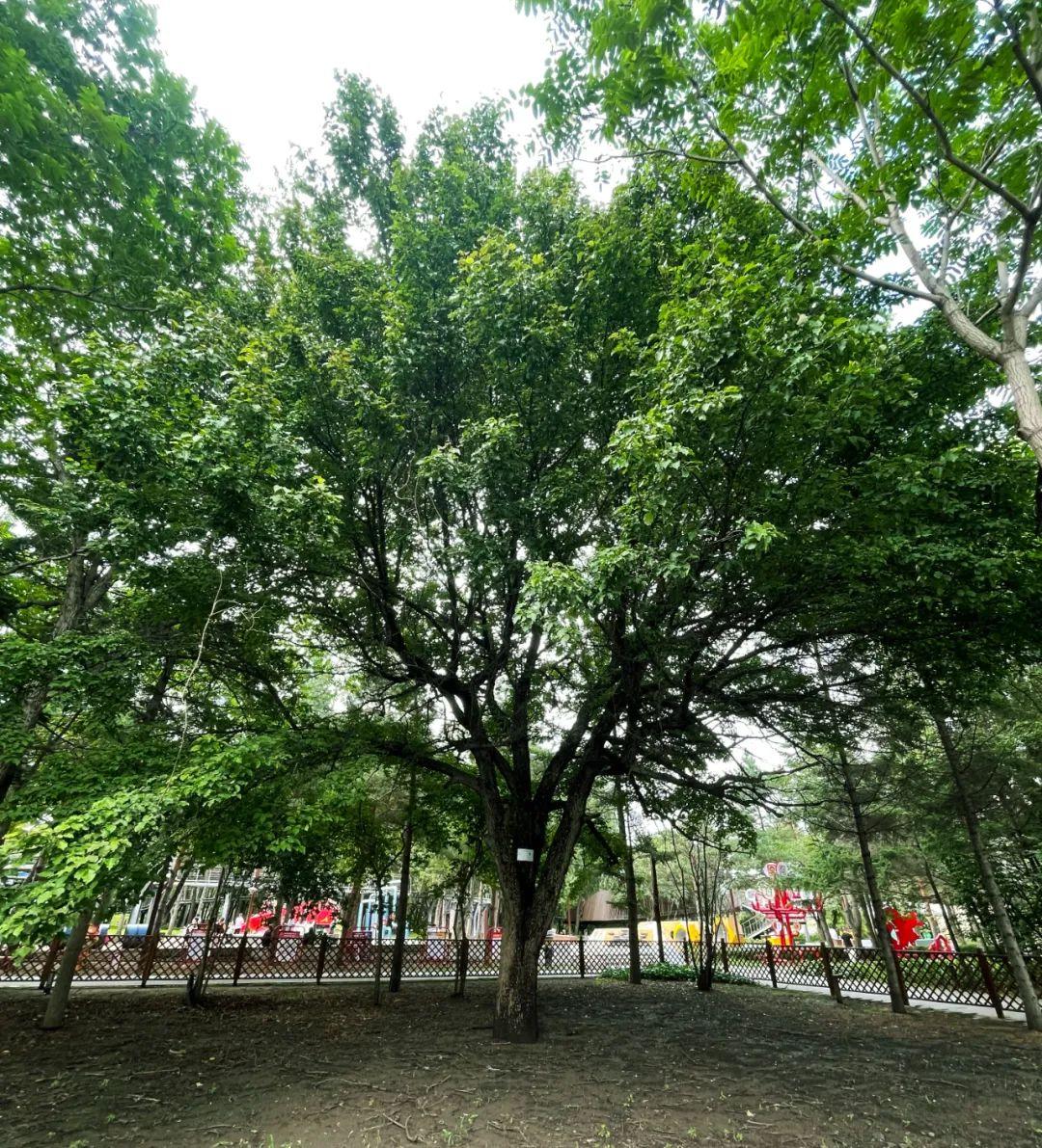 FUN88·乐天堂(中国游)官方网站